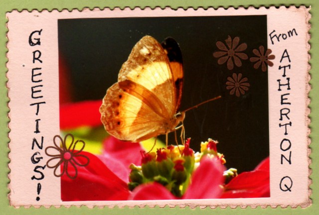 [Butterflypostcard.jpg]