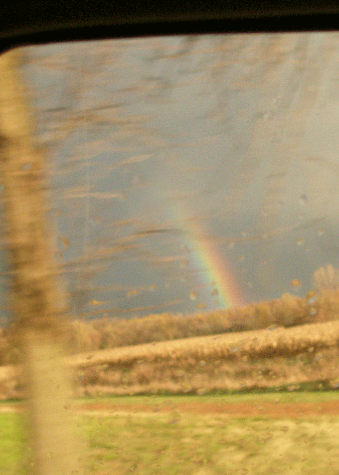 [rainbow2.gif]