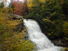 MUDDY creek falls