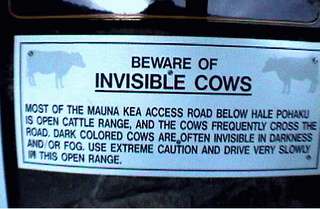 [Beware+of+Invisible+Cows+copy.jpg]