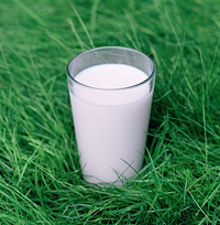 [milk-glass.jpg]