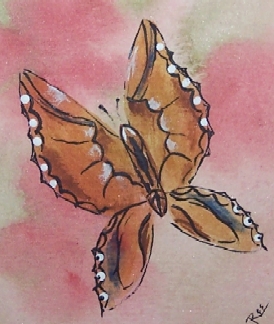 [butterfly1b.jpg]