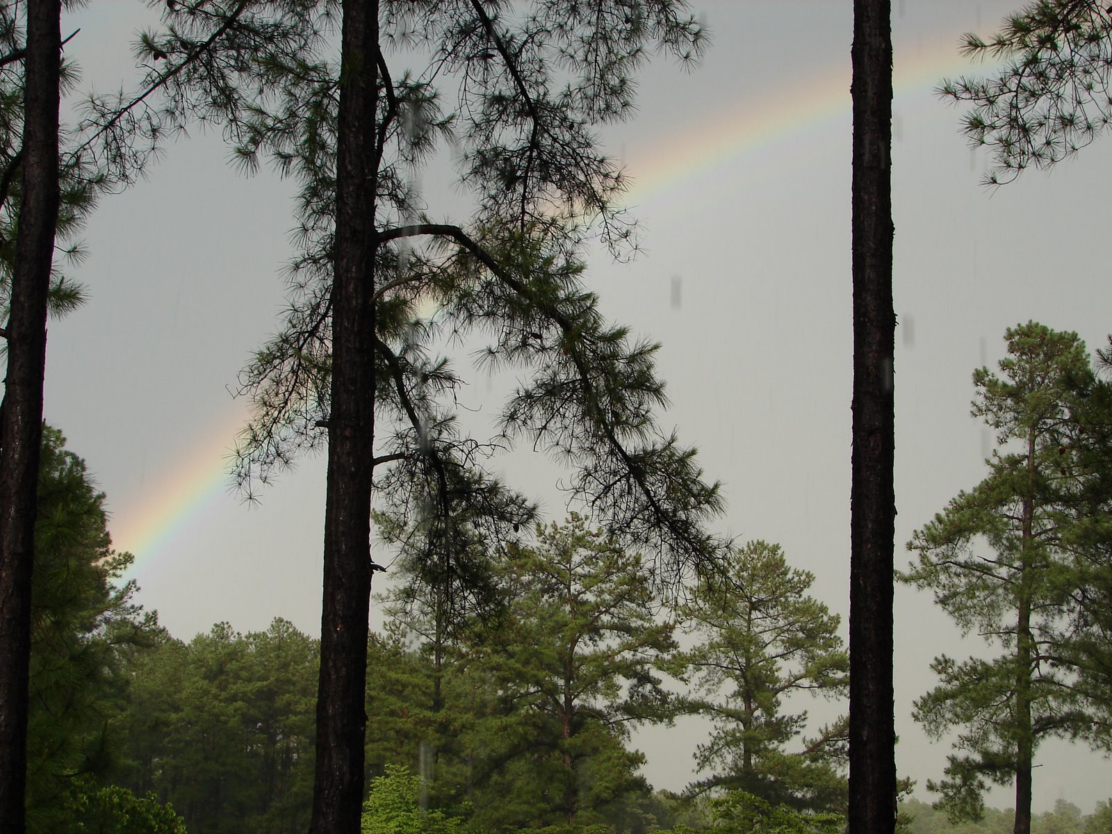 [May+2008+(storm+pics+&+rainbows)+031.jpg]