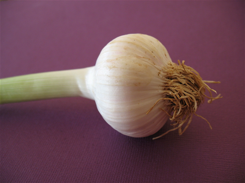 [green+garlic,+not+so.jpg]