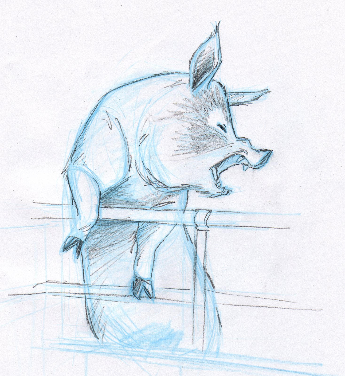 [pig+sketch-2.jpg]