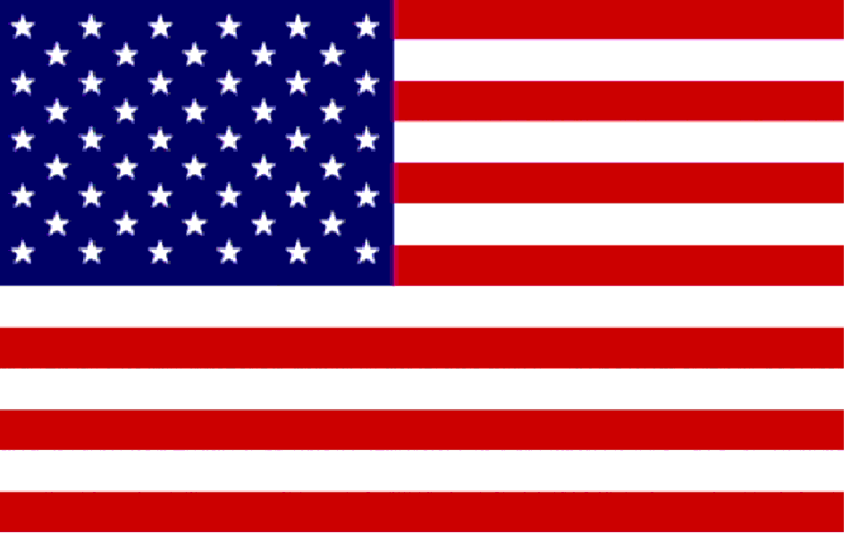 [american-flag.gif]