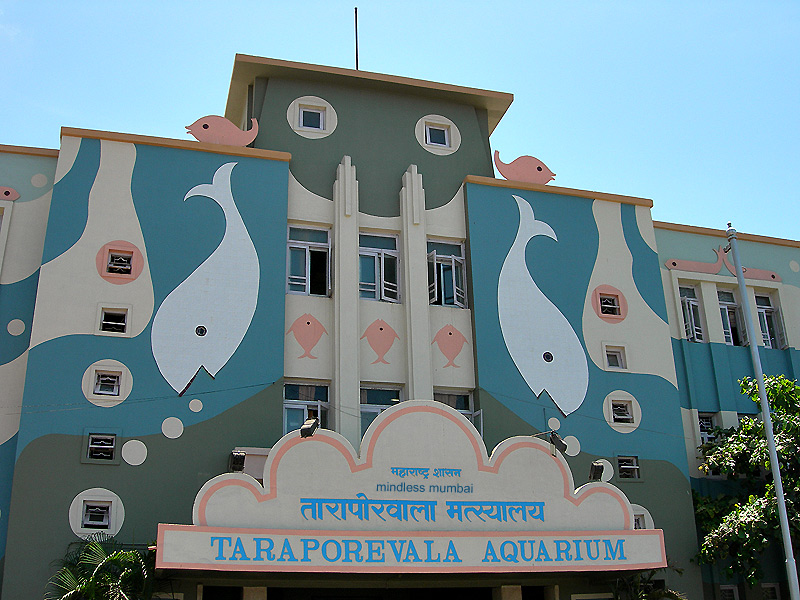 taraporevala aquarium in mumbai by kunal bhatia