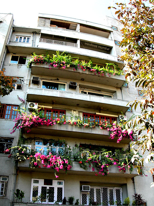flowering plants in balcony in mumbai by kunal bhatia