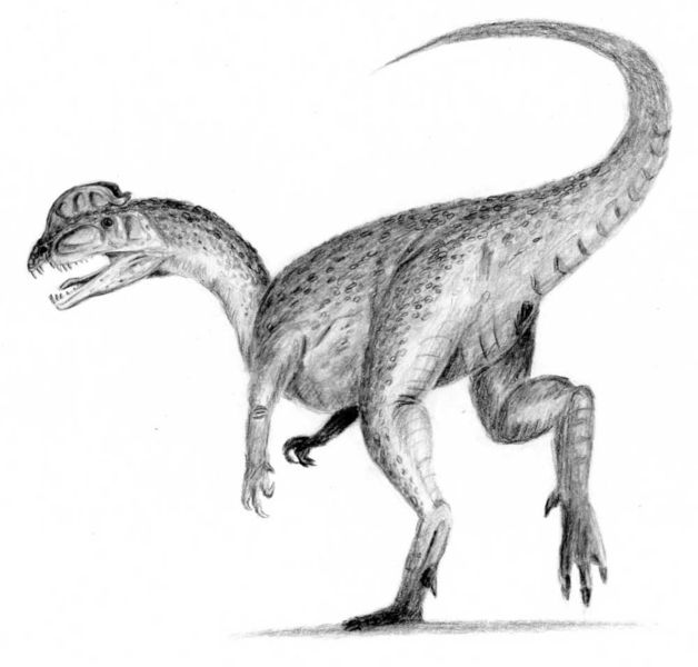 [628px-Dilophosaurus.jpg]