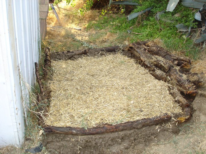 [compost+2+hay.jpg]