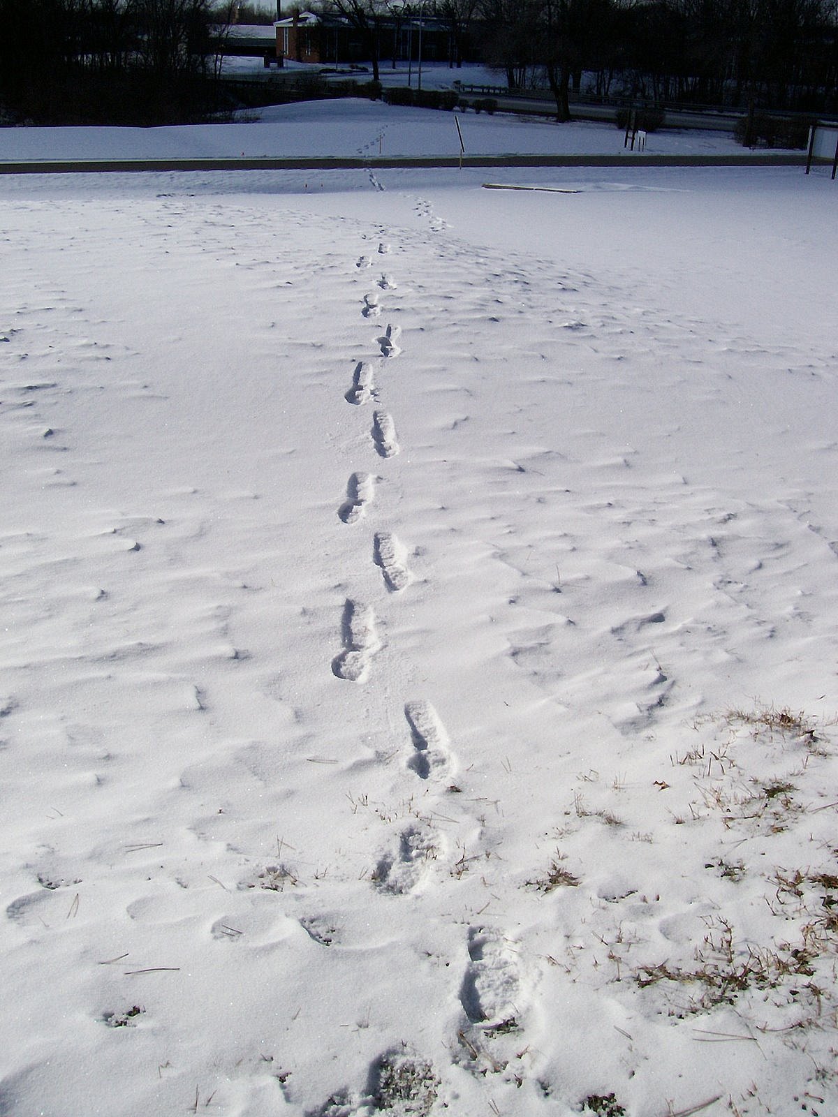 [my+footprints.jpg]