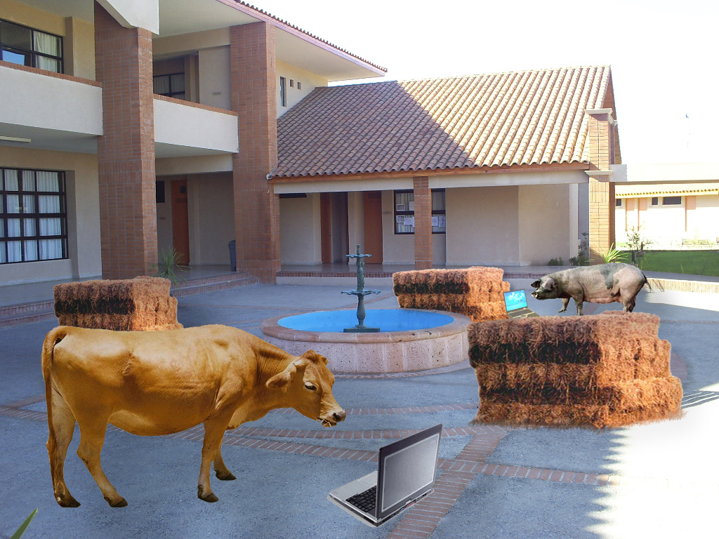[Vaca+Cerdo+Wifi.jpg]