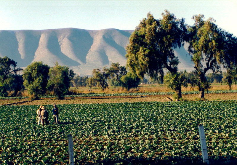 [800px-Puebla_farmers.jpg]