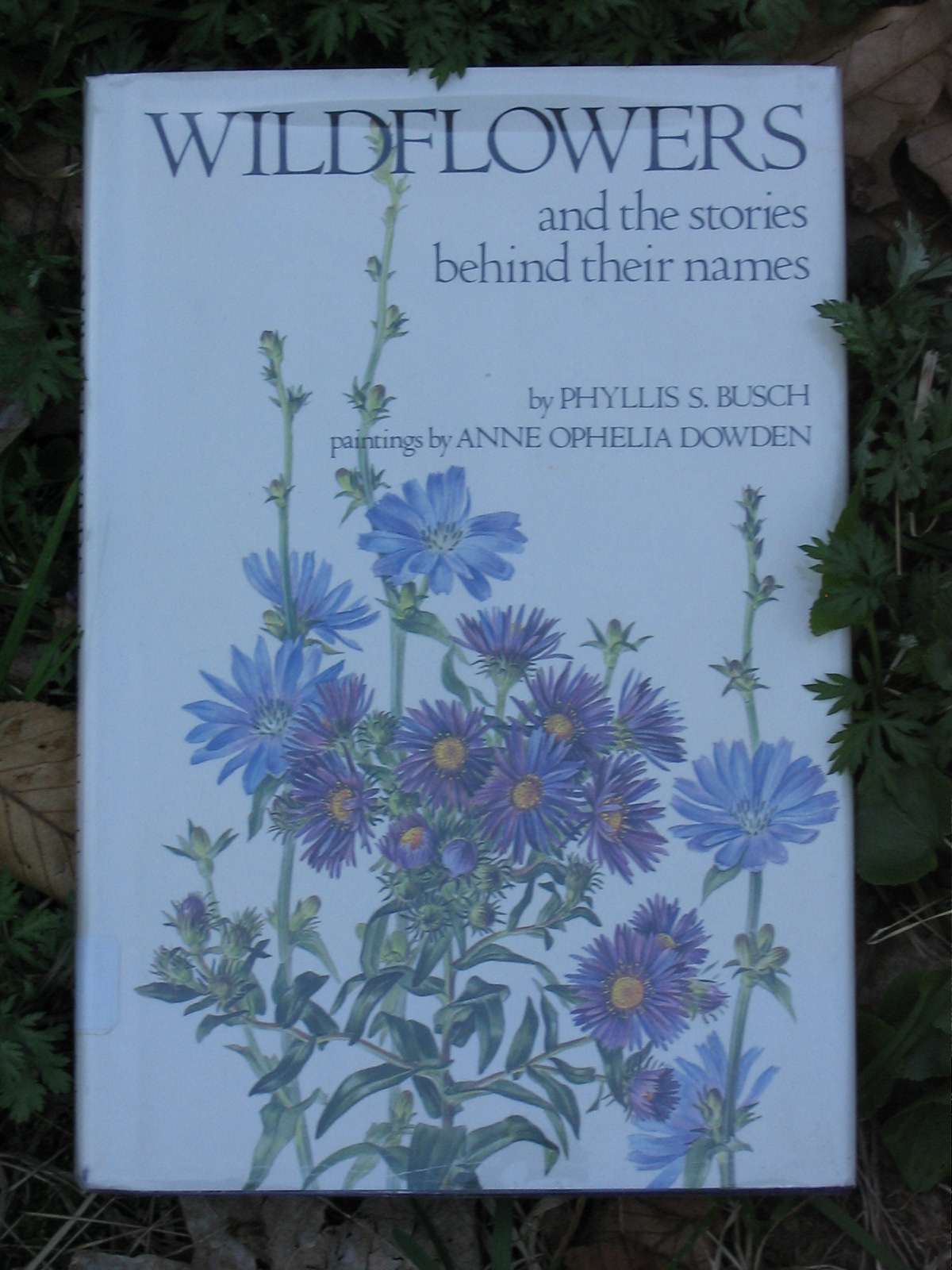 [Books+Wildflower+stories.JPG]