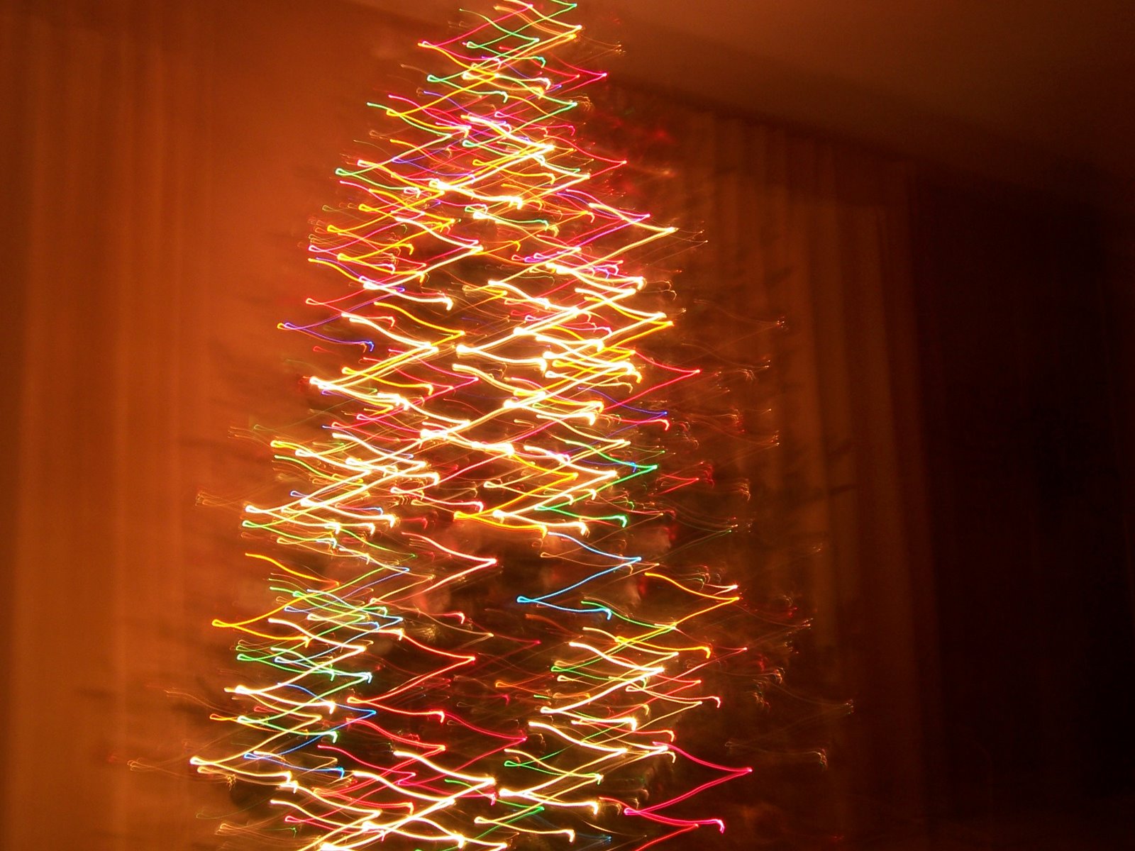 [Christmas+tree,+2006.jpg]
