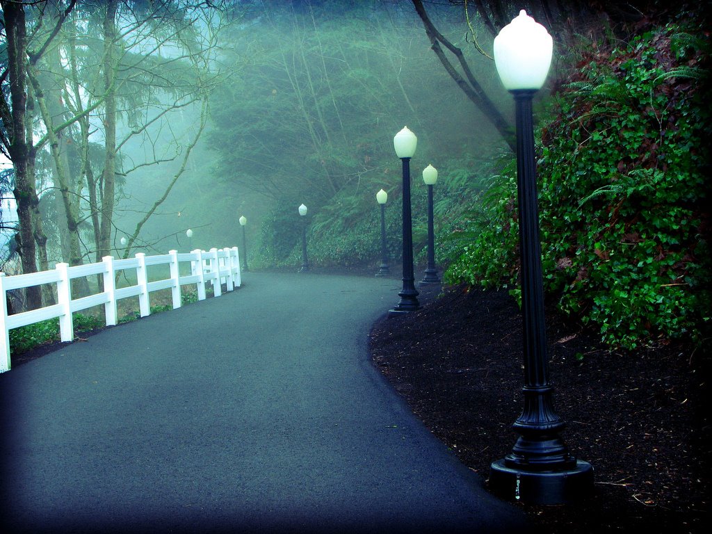[A+walk+in+the+fog.jpg]