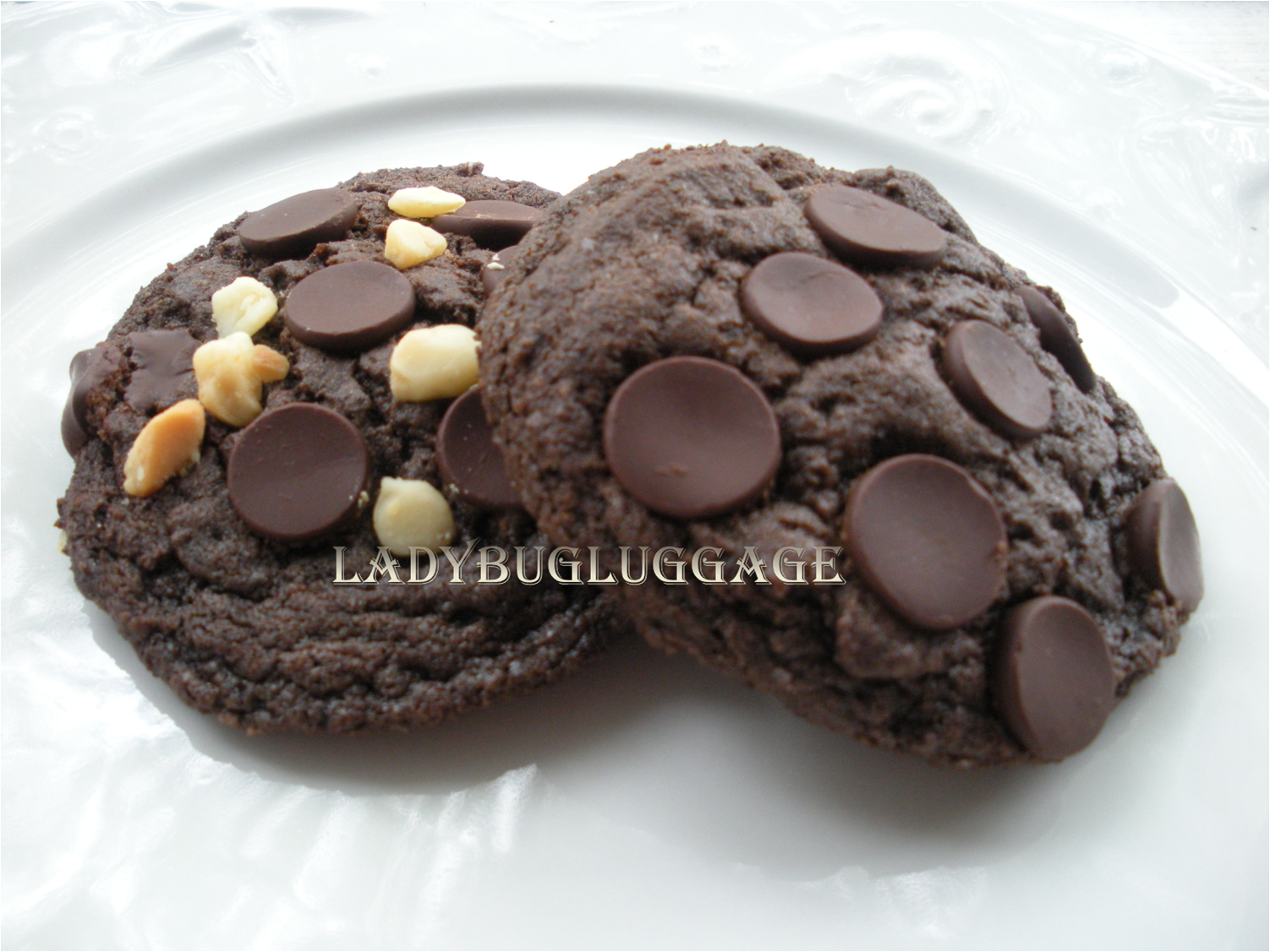 [Double+chocolate+&+Macadamia+Cookie.png]