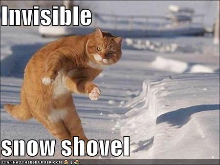 [funny-pictures-cat-with-invisible-snow-shovel.jpg]