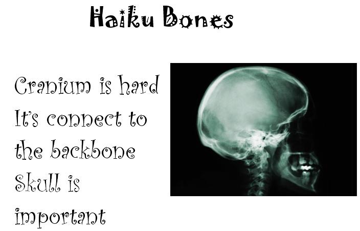 [Haiku+Bones.JPG]