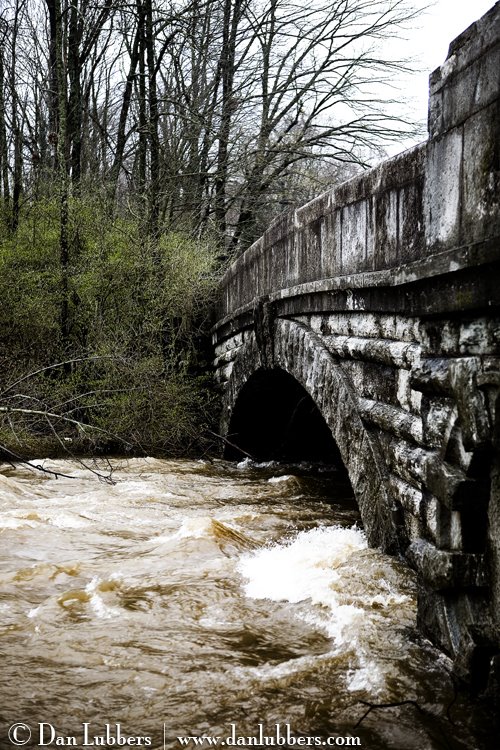 [cherokee_park_creek_flood.jpg]