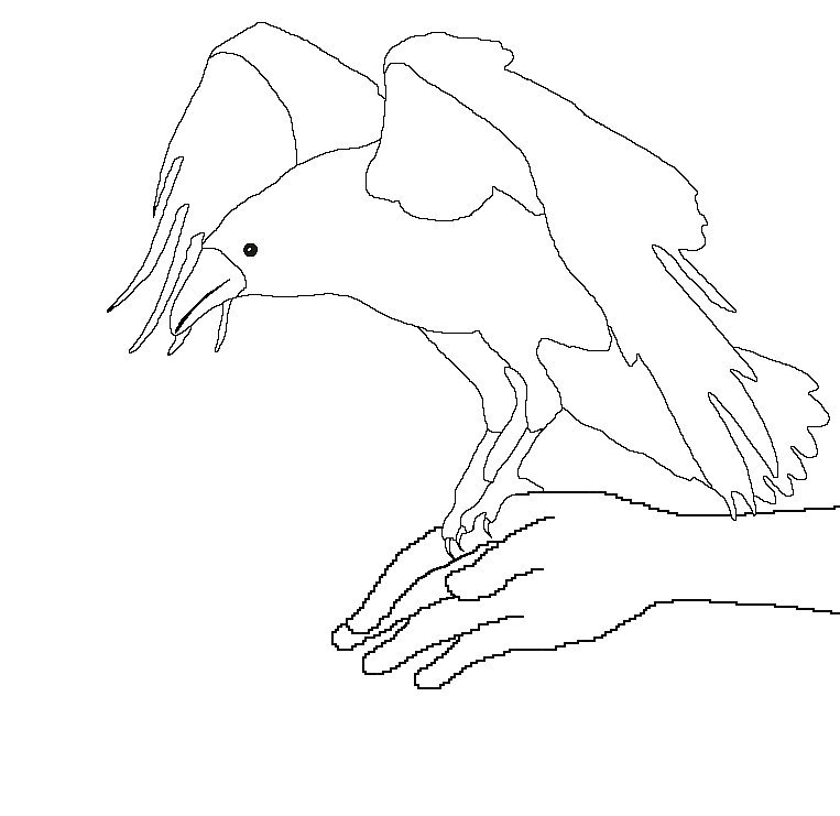 [bird+in+the+hand-raven+e.bmp]
