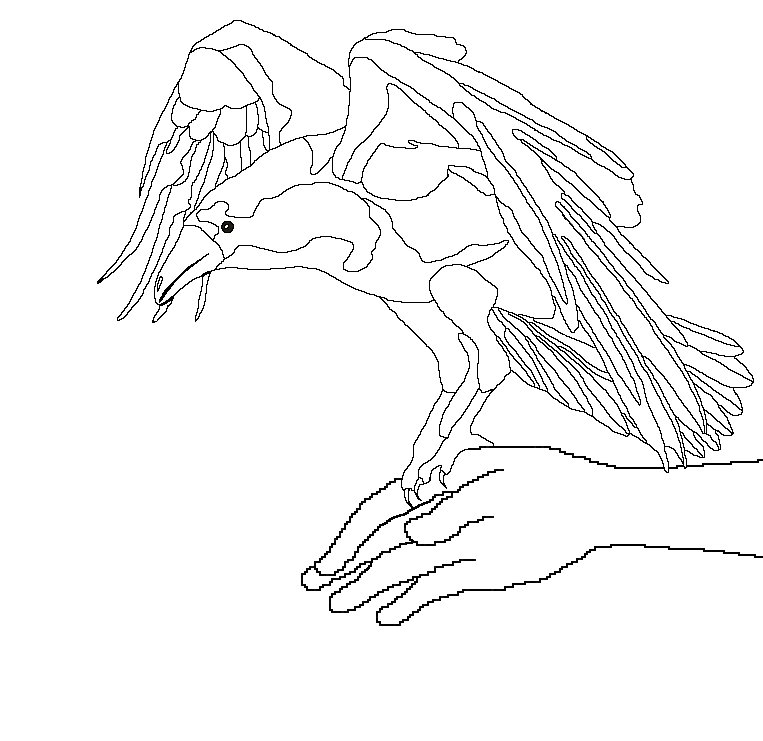 [bird+in+the+hand-raven+d.bmp]