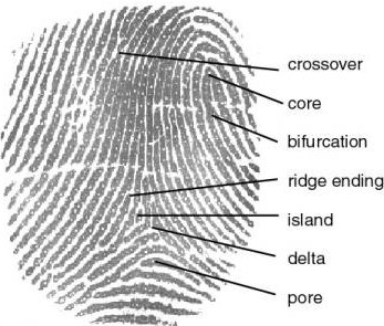 [fingerprint_definition.jpg]