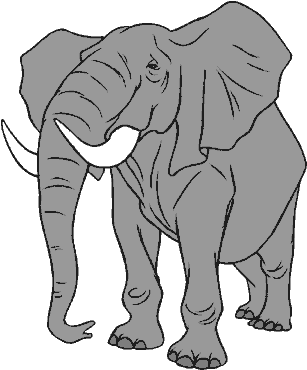 [elefante.gif]