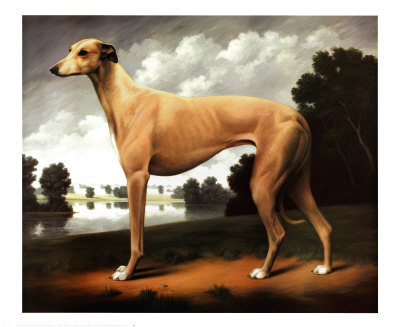 [Greyhound-in-a-Parkland-Landscape-Print-C10291982.jpg]