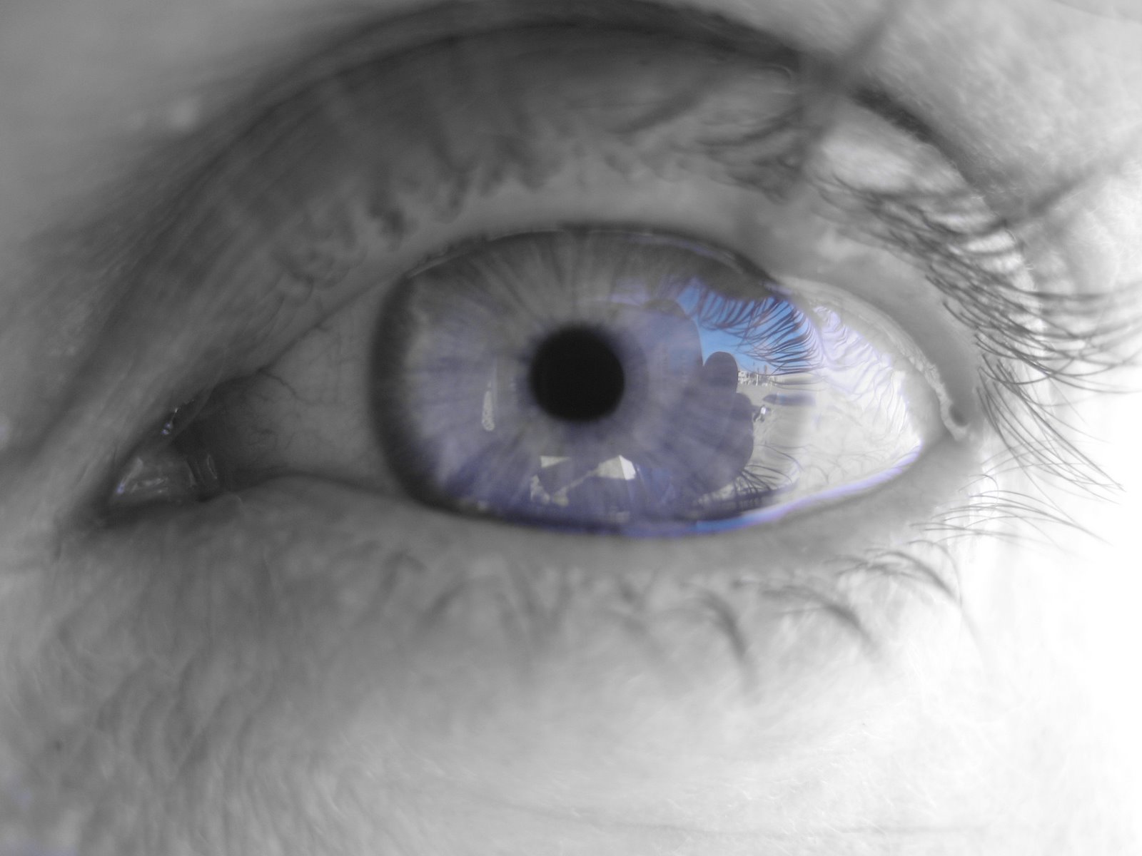 [Blue-eyed+world.jpg]