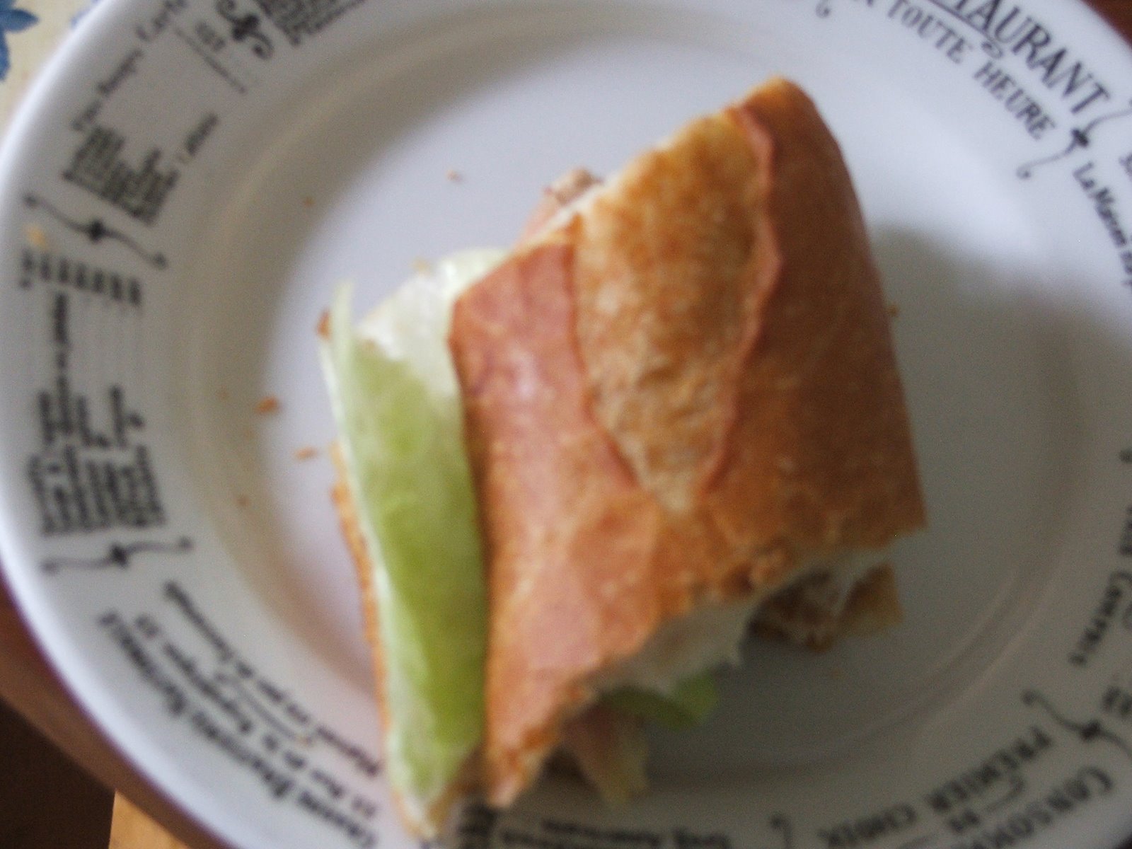 [le+panier+tuna+way+sandwich+july2007.JPG]