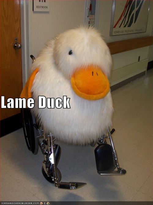 [lg+lame+duck.jpg]