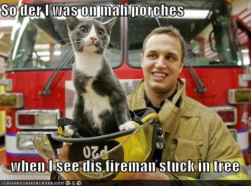 [funny-pictures-cat-rescues-fireman-from-tree.jpg]
