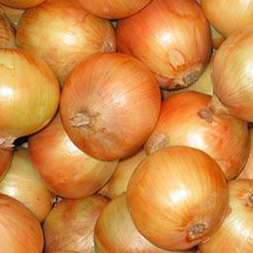[Fresh_Onions.jpg]