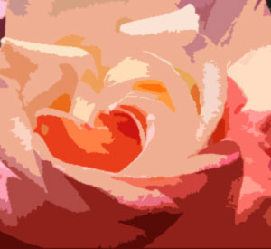 [rose-cutout.jpg]