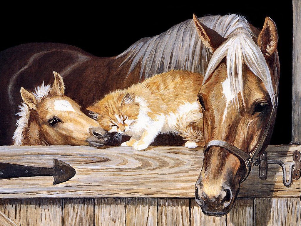 [cat-being-friendly-with-horses.jpg]