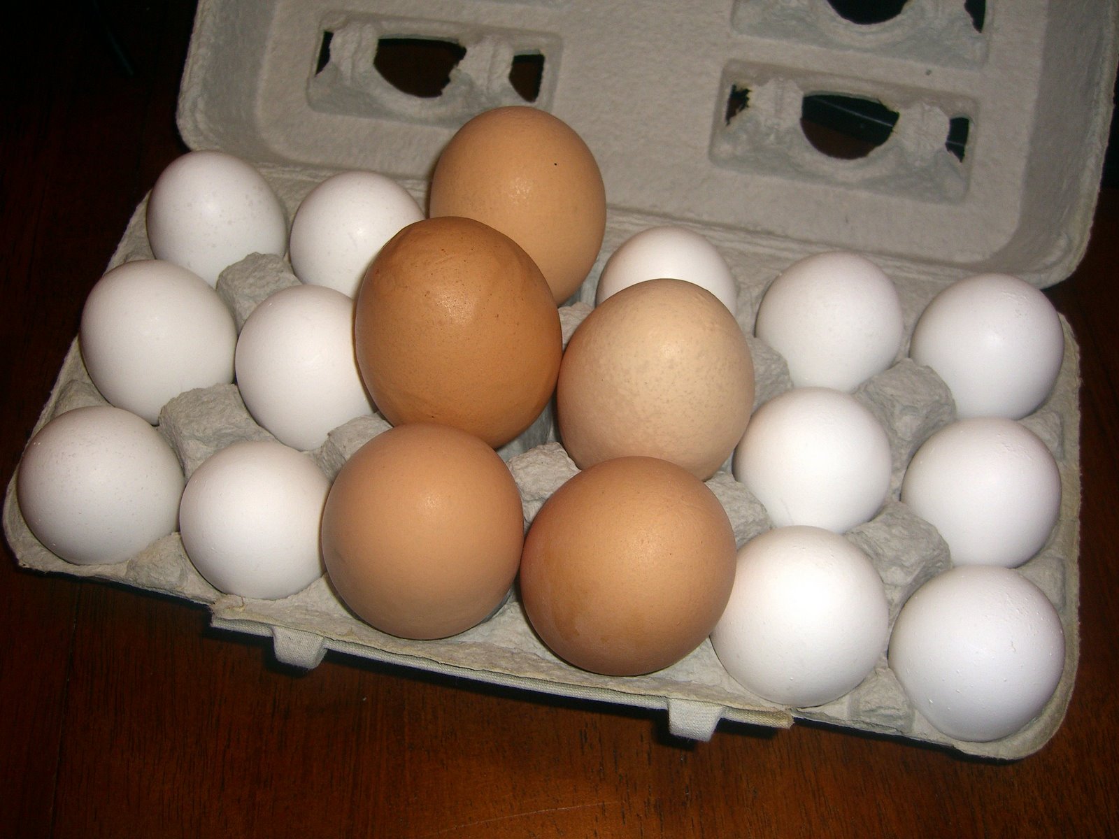 [egg+carton.JPG]