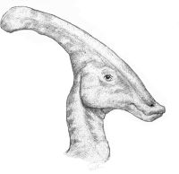 [Parasaurolophus.jpg]