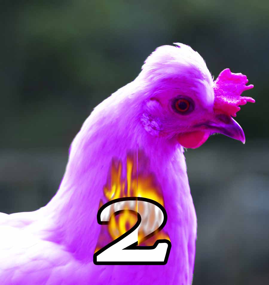 [purple+chicken2.jpg]
