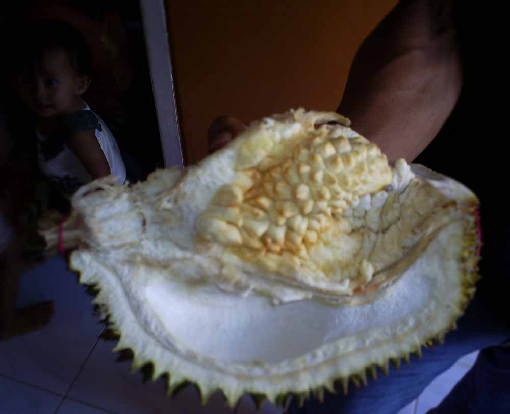 [durian4.jpg]