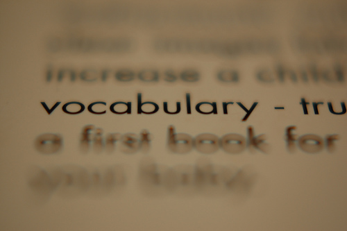 [vocabulary.jpg]