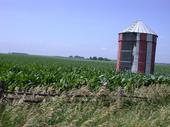 My Farm in Iowa in my family for over 100 years!