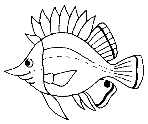 [poisson31.gif]