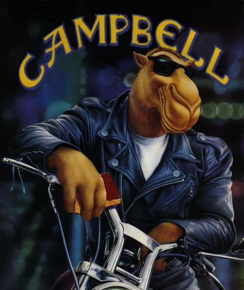 [Stoned-Campbell+Motorcycle.jpg]