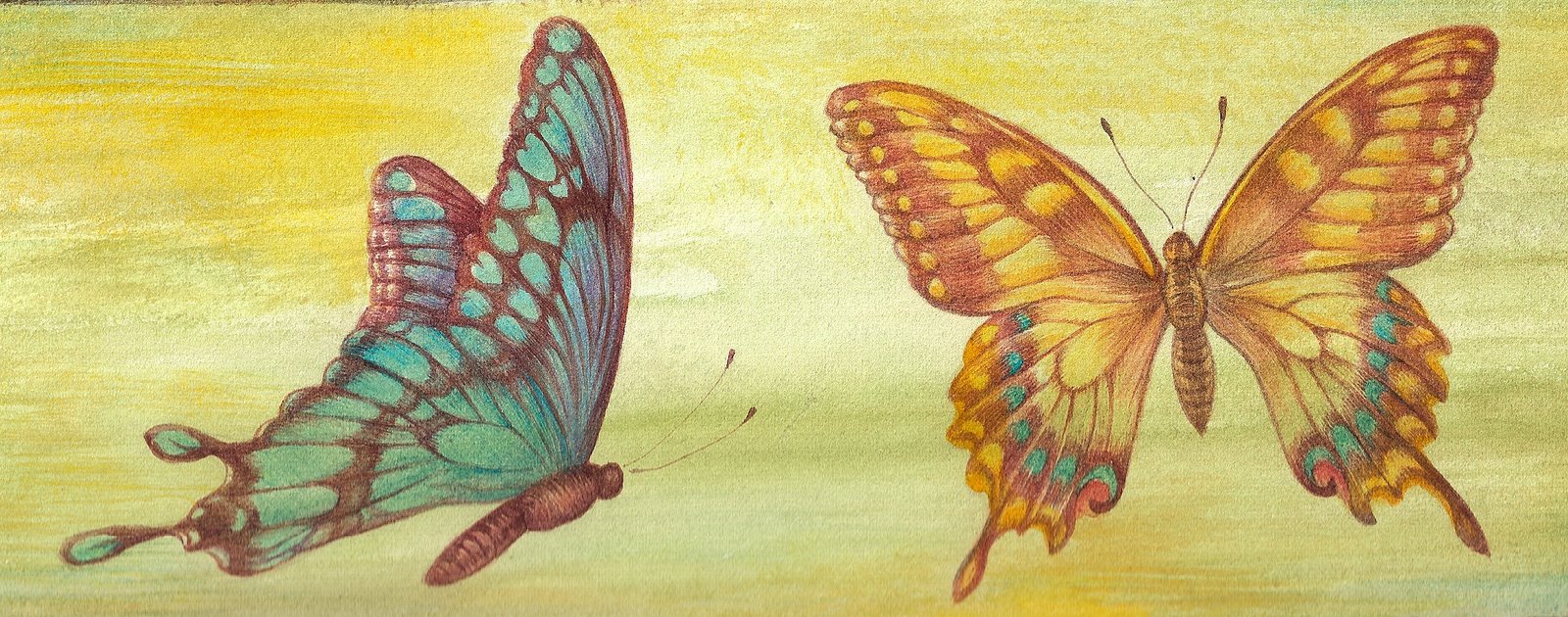 [butterflies-2.jpg]
