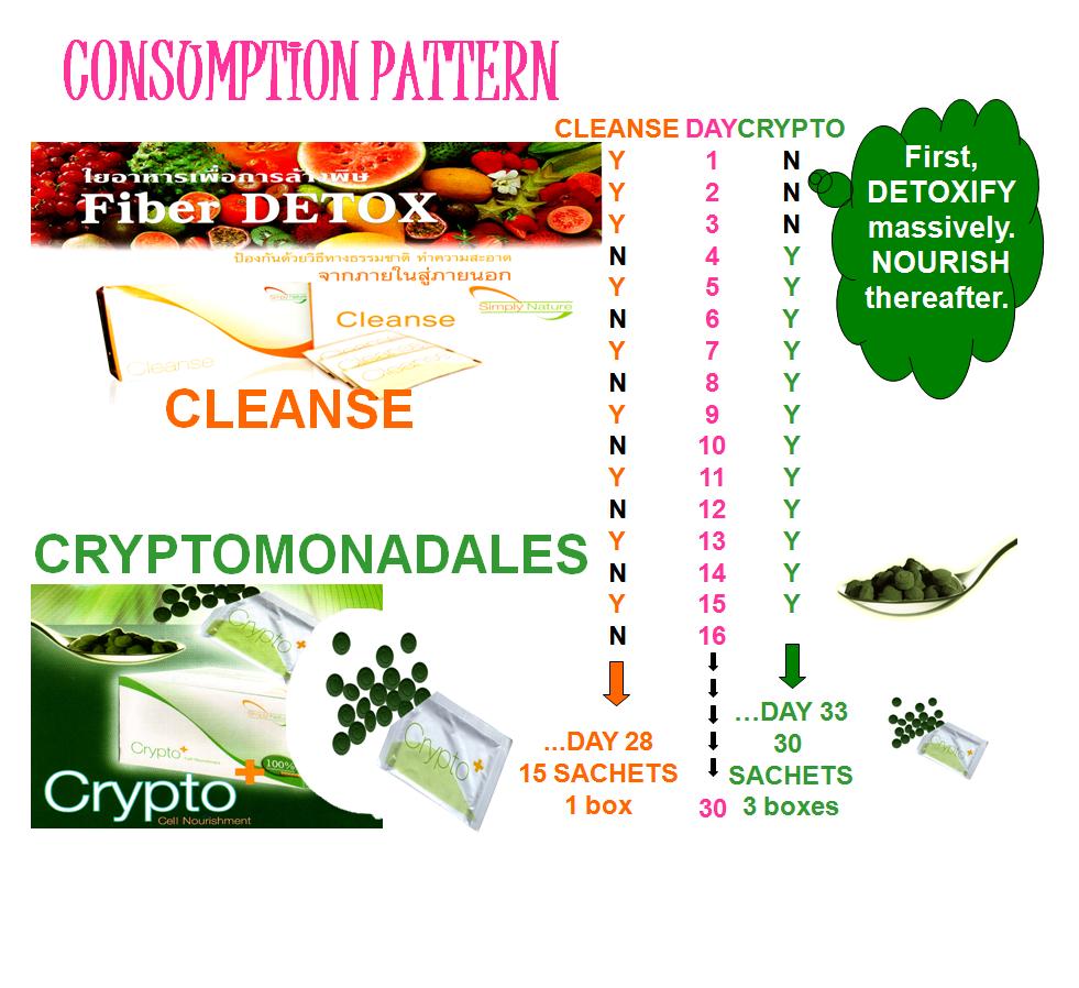 [Consumption+Pattern.jpg]