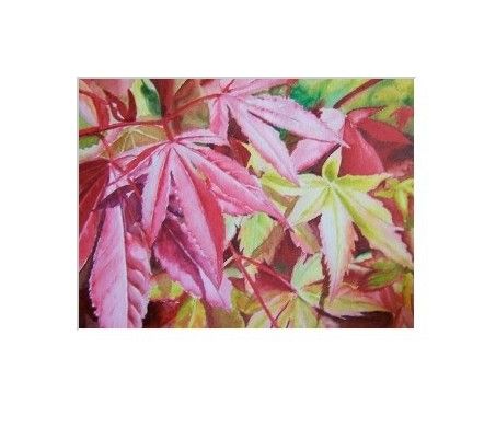 [Japanese+maple+leaves~framedArt.jpg]