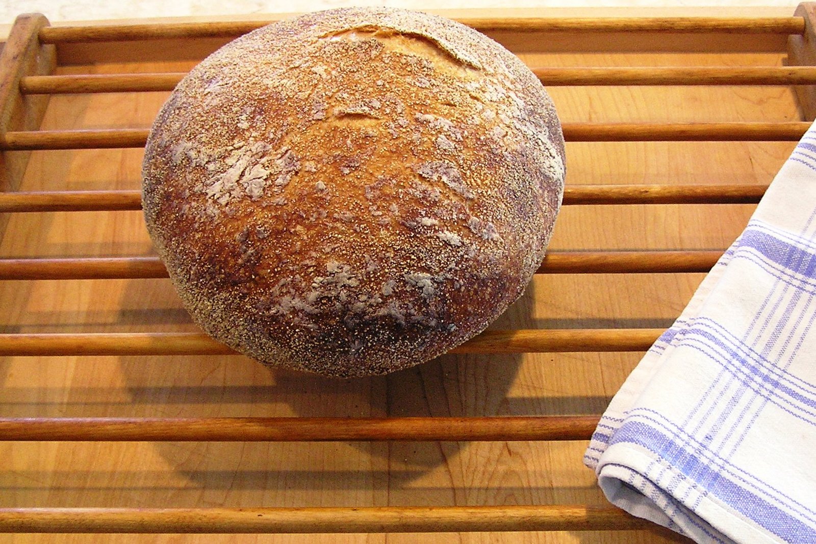 [Bread+001.jpg]