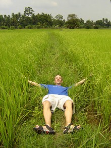 [thailand-rice-fields-forever.JPG]