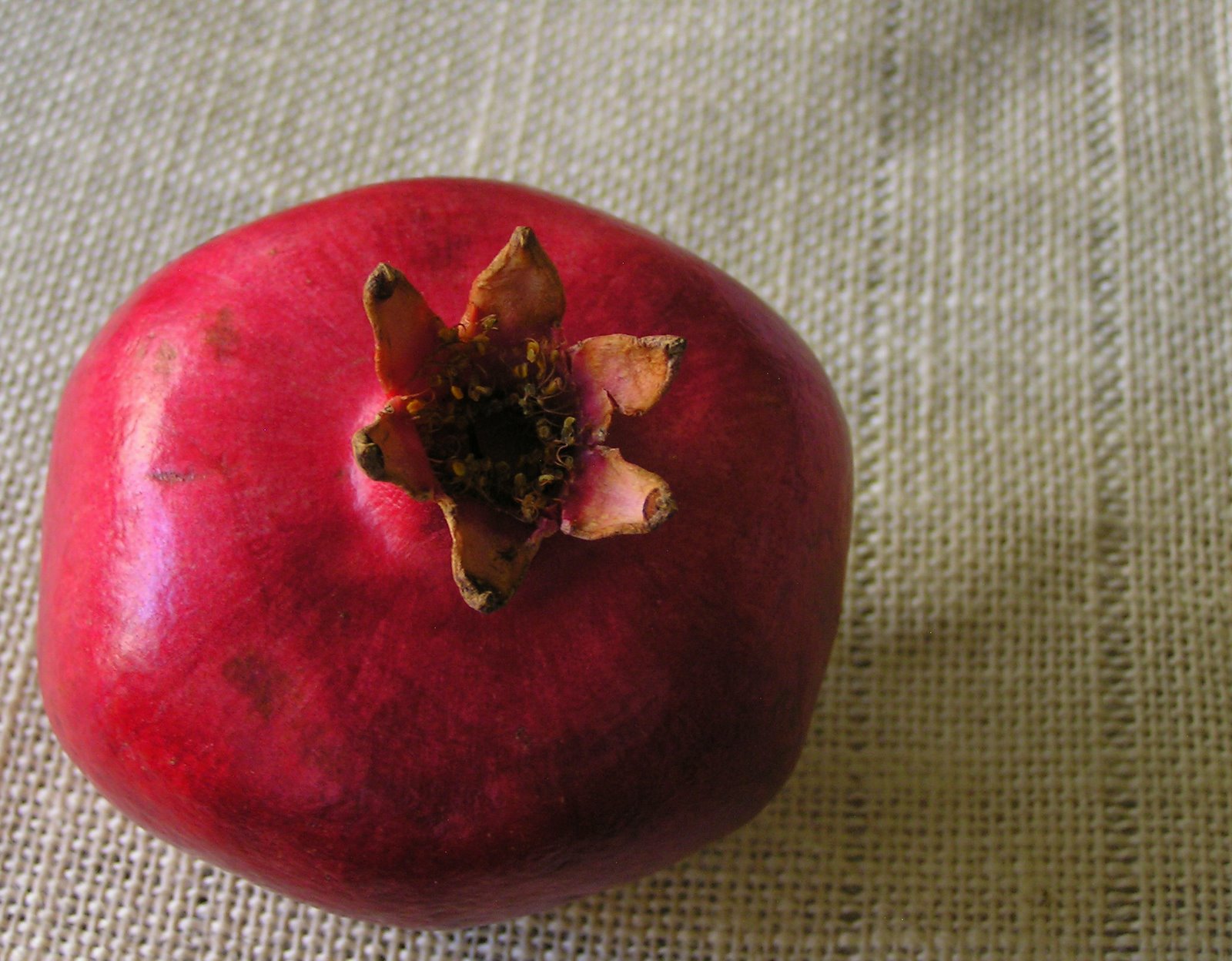 [Pomegranate+(80).JPG]
